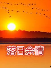 落日余情,落日余晖下的情感画卷