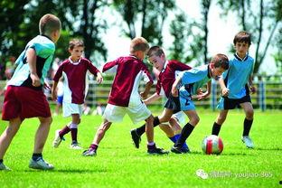 足球用具管理员的烦恼,破解球场杂事烦恼的智慧之道