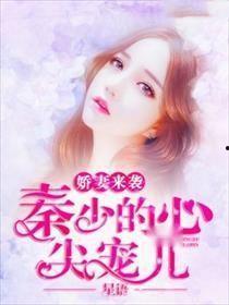 双面娇妻秦总的心尖宠（夫人又野又飒）,双面娇妻的野性与魅力